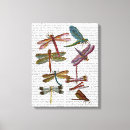 Search for dragonfly art Dragonflies