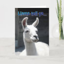 Search for llama birthday cards Humour