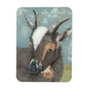 Search for goat magnets Animals