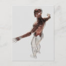 Search for vertebrae postcards Human body parts