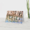Search for wild duck cards Ducks