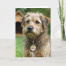Search for gotcha day cards Pet