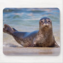 Search for pacific coast mouse mats California