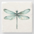 Search for dragonfly coasters Nature