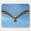 Search for ospreys mouse mats Flight