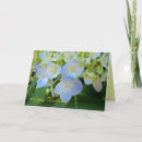 Search for blue hydrangea birthday cards Hydrangeas