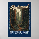 Search for redwood posters Redwood national park