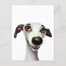 Search for whippet postcards Cute