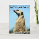 Search for meerkat birthday cards Humour