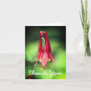 Search for columbine cards Red