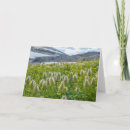 Search for paulson cards Mountain