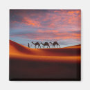 Search for deserts magnets Sand dune