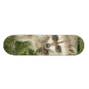 Search for furry skateboards Nature