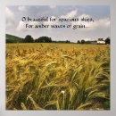 Search for grain posters Amber waves of grain