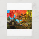 Search for foliage postcards Colour