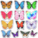 Search for butterfly scrapbook stickers Summer