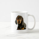 Search for miniature dachshund mugs Dog