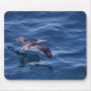 Search for for bird lovers mouse mats Photography