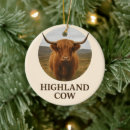 Search for cattle christmas tree decorations Portrait