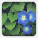Search for glories square stickers Floral