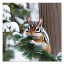Search for winter forest animals posters Woods