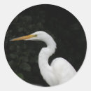 Search for egret stickers Wildlife