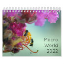 Search for 2022 calendars Colourful
