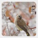 Search for hawthorne stickers Bird