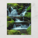 Search for duc postcards Green