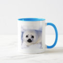 Search for harp seals mugs Wild animals