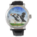 Search for puffin watches Wildlife
