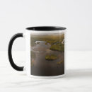 Search for guyana mugs South america