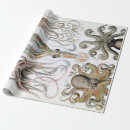 Search for squid wrapping paper Ocean