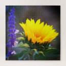 Search for russian photography Nature