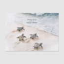 Search for sea turtle tissue paper Seaside