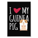 Search for pig love posters Rodent