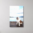 Search for deck canvas prints Nature