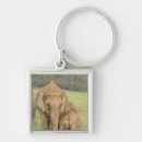 Search for indian elephant key rings Corbett