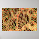 Search for snake skin posters Abstract