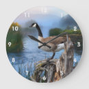 Search for goose clocks Waterfowl