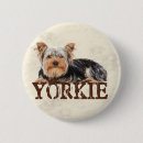 Search for yorkies badges Puppies