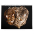 Search for jet calendars Travel