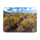 Search for mono magnets Landscape