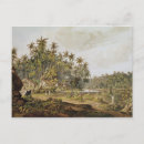 Search for sri lanka postcards Landscape