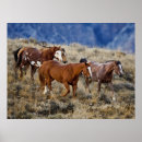 Search for roaming posters Ranch