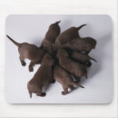 Search for bonding mouse mats Togetherness