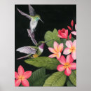 Search for hummingbird posters Flowers