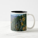 Search for marcy mugs Forest