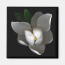 Search for single flowered magnets Bloom
