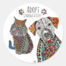 Search for homeless stickers Animal shelter